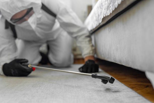 Professional Termite Control technician working in Lockport, NY