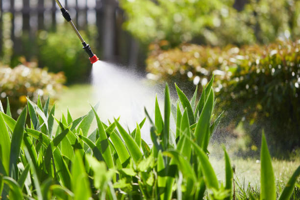 24/7 Emergency Termite Control experts in Lockport, NY