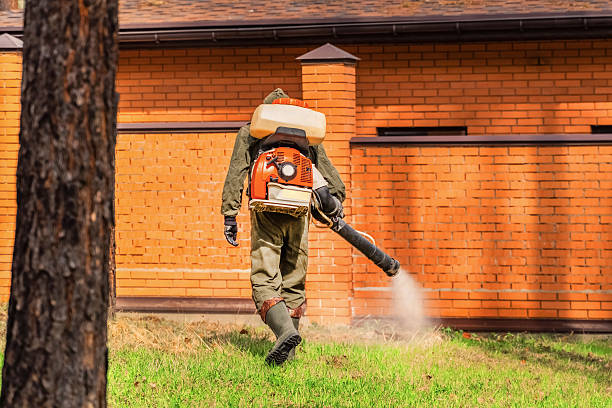Top rated local Termite Control specialists in Lockport, NY